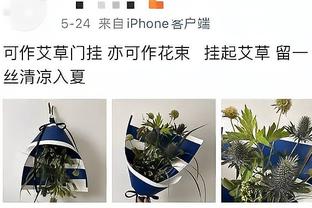 哈登助力！快船前40场常规赛26胜14负 上赛季同期战绩为21胜19负